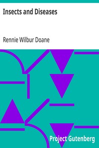 Insects and Diseases - Rennie W. Doane